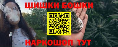 apvp Партизанск