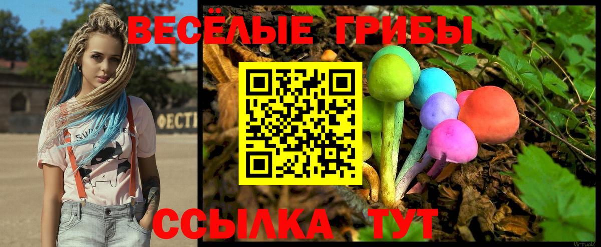 Псилоцибиновые грибы мицелий  Вход с VPN  магазин продажи   Северск 
